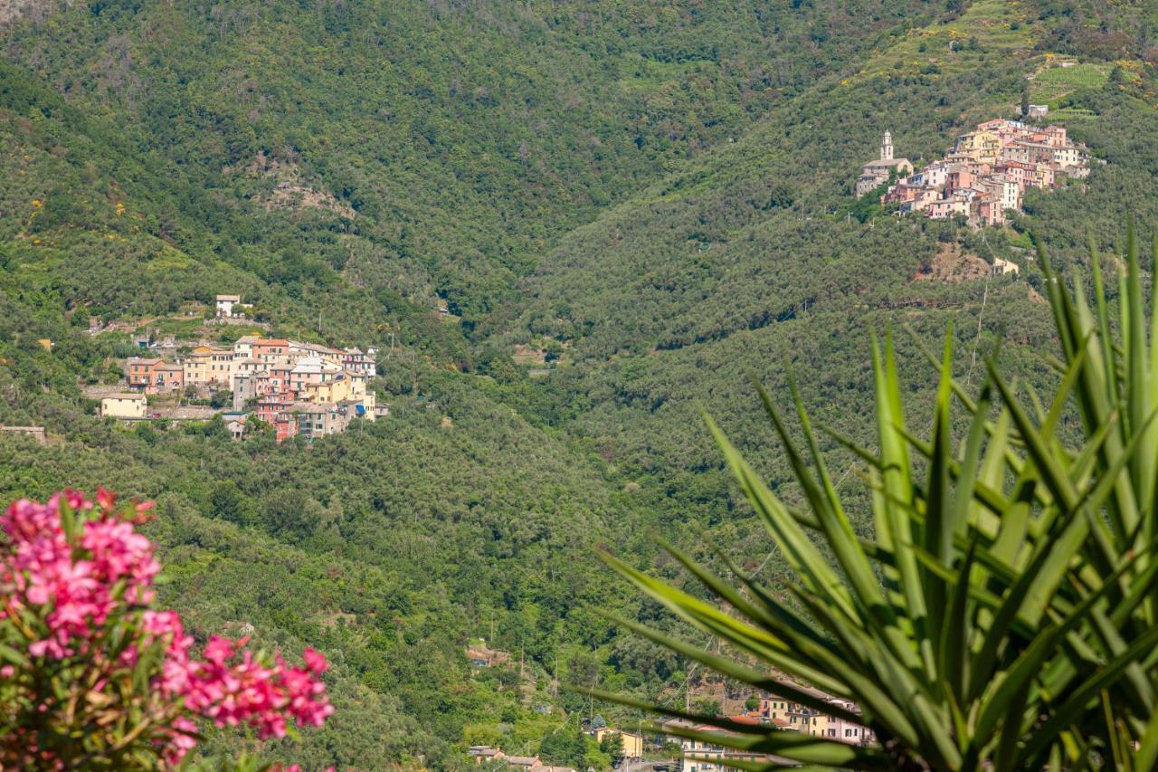 Villa Dell'Erta - Levanto Montale  エクステリア 写真