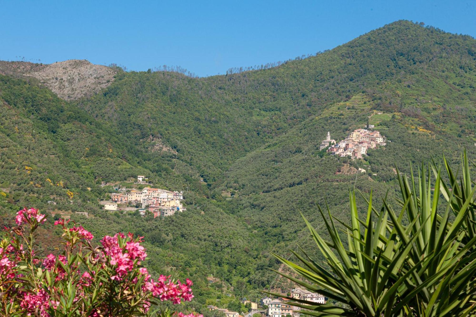 Villa Dell'Erta - Levanto Montale  エクステリア 写真